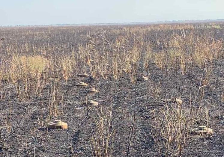 Imagen principal - 1. Minas antitanque rusas en uno de los terrenos del agricultor cántabro. | 2. Socavón provocado por el impacto de un cohete en las instalaciones de Ramón Gómez. | 3. Retirada un cohete caído en uno de los campos del empresario cántabro.