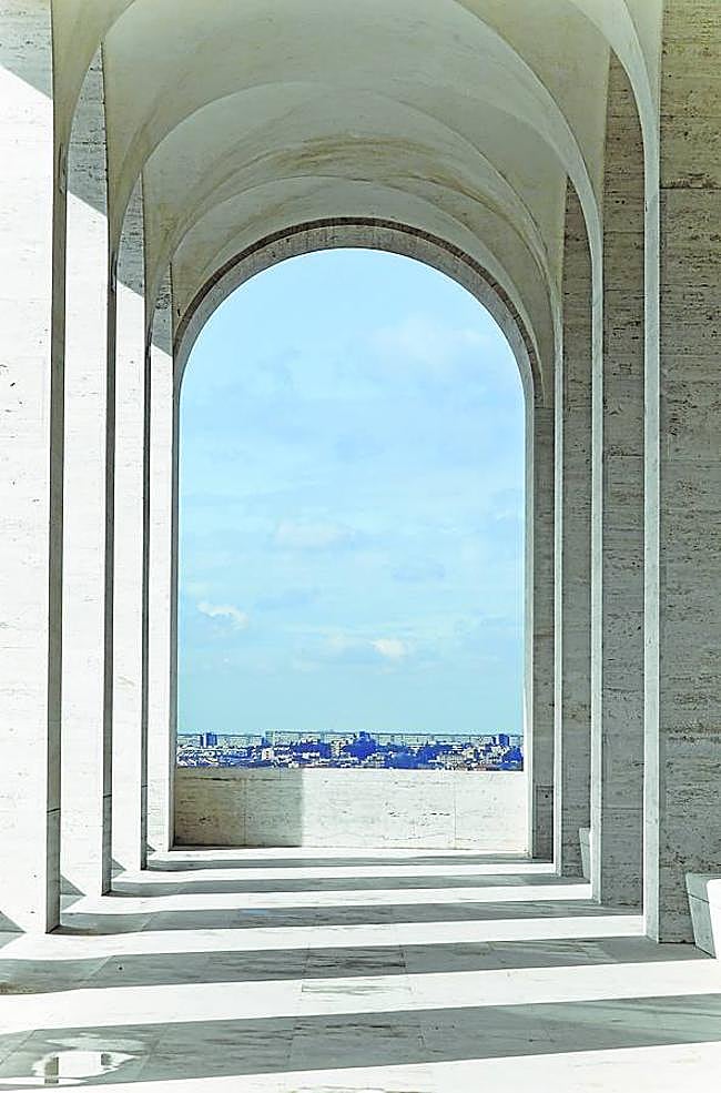 'Edera 12', 2012. Fotografía.