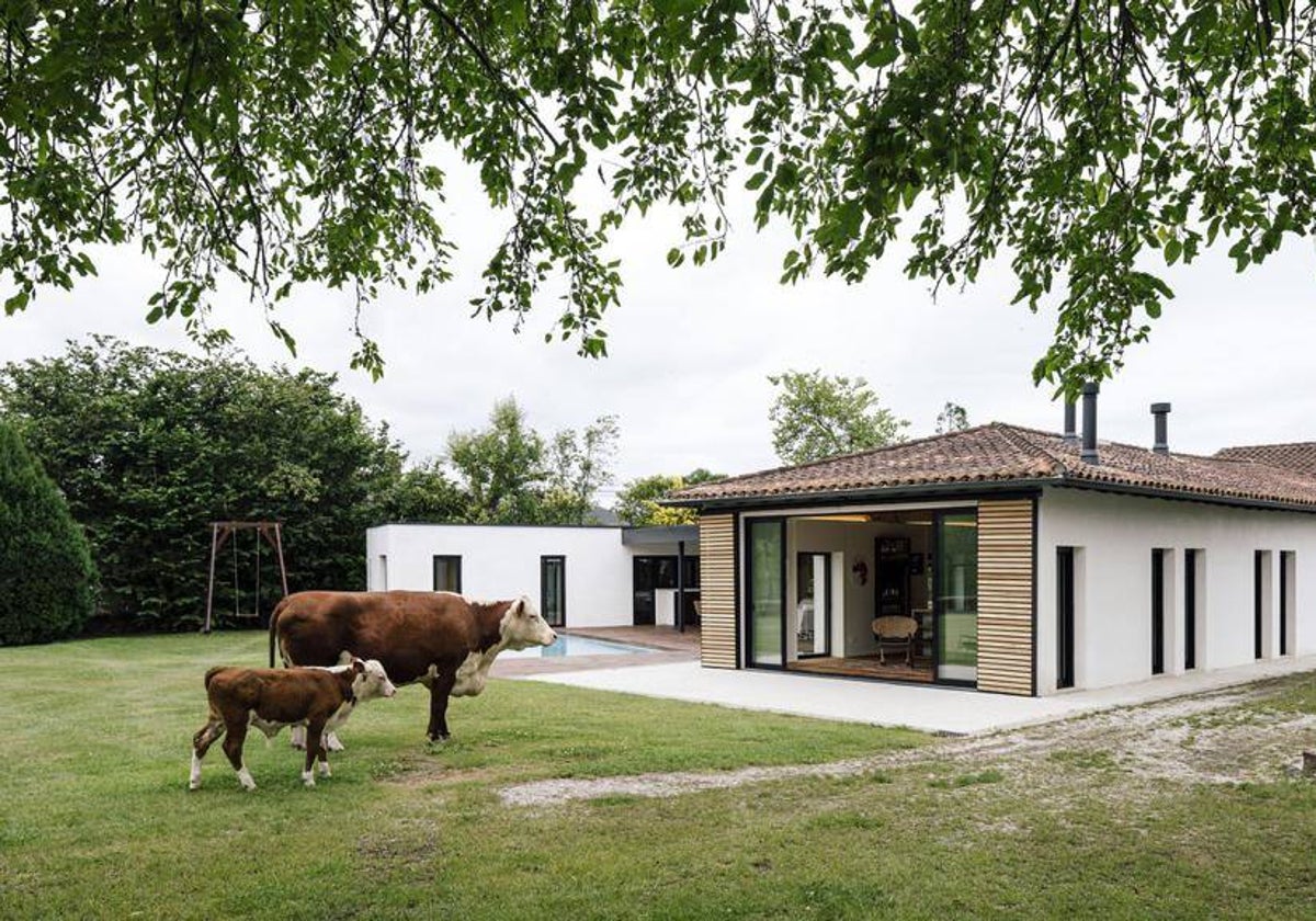 Arquitectura y ganadería, de la mano en Güemes