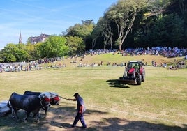 Participantes en la campa de Sobrellano de Comillas, en la Feria del Arrastre de 2022.