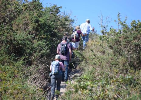 Imagen secundaria 1 - Rutas guiadas y gratuitas a La Picota y Monte Tolío, todos los jueves desde Mortera