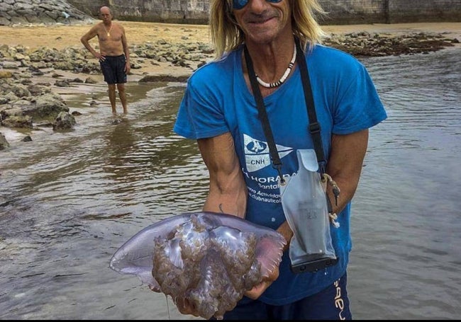 Medusa aguamala, el verano pasado en Santander.