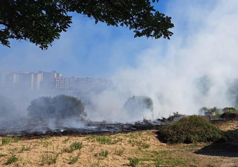 A medida que los bomberos han ido extinguiendo el fuego quedaba al descubierto la vegetación quemada.