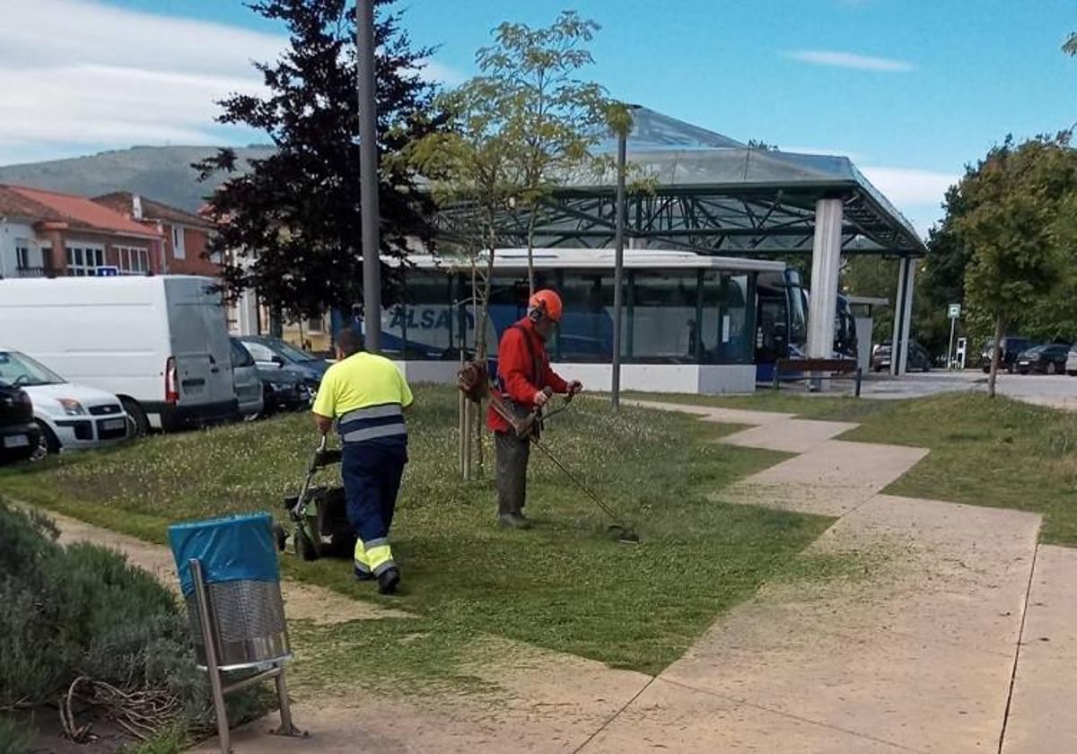 Sarón acoge el sábado la I Feria del Vino de Cantabria con catas, mercado y conciertos