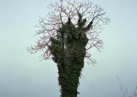 Imagen secundaria 1 - Dos relatos de identidad, paisaje y memoria a través de la mirada