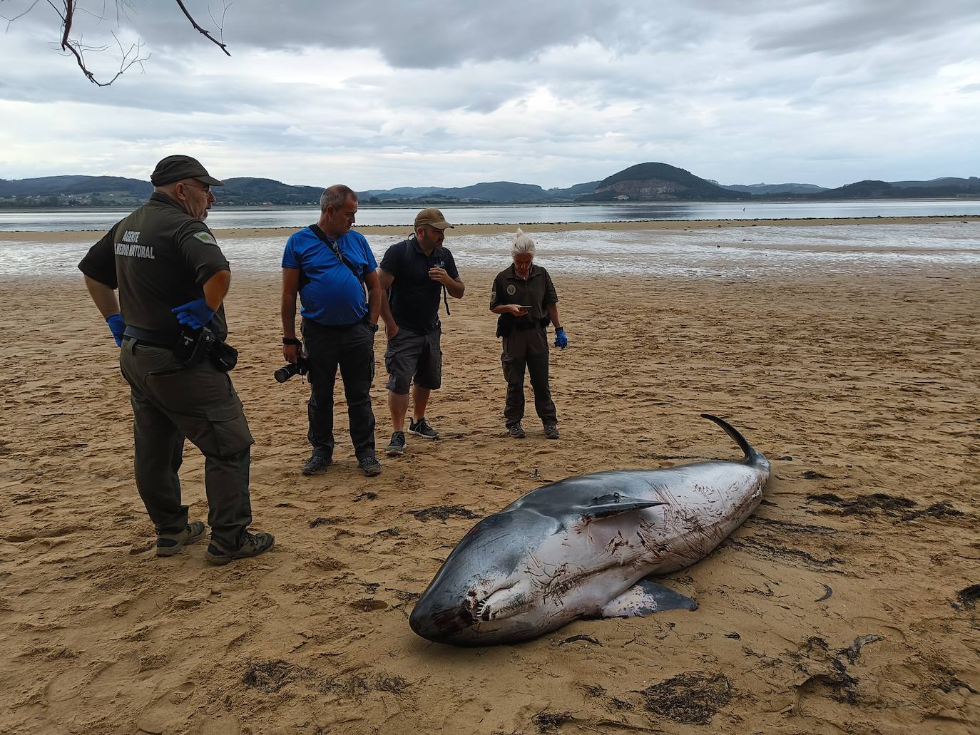 Agentes del Medio Natural y técnicos de la Red de Varamientos de Cantabria.