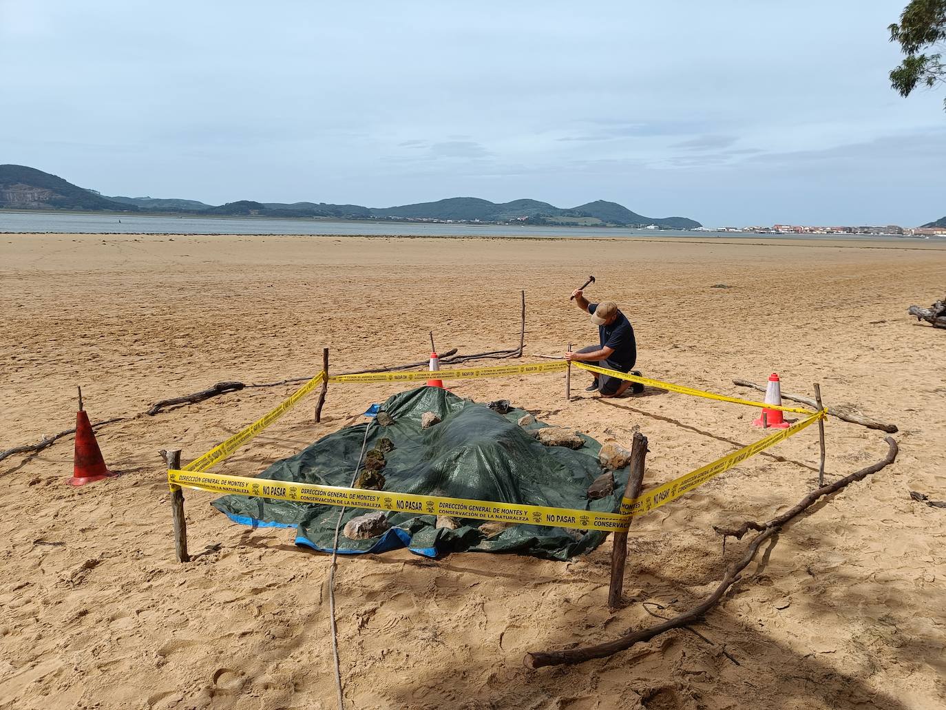 El ejemplar ha sido tapado con una lona y custodiado para que no sea arrastrado por las mareas.