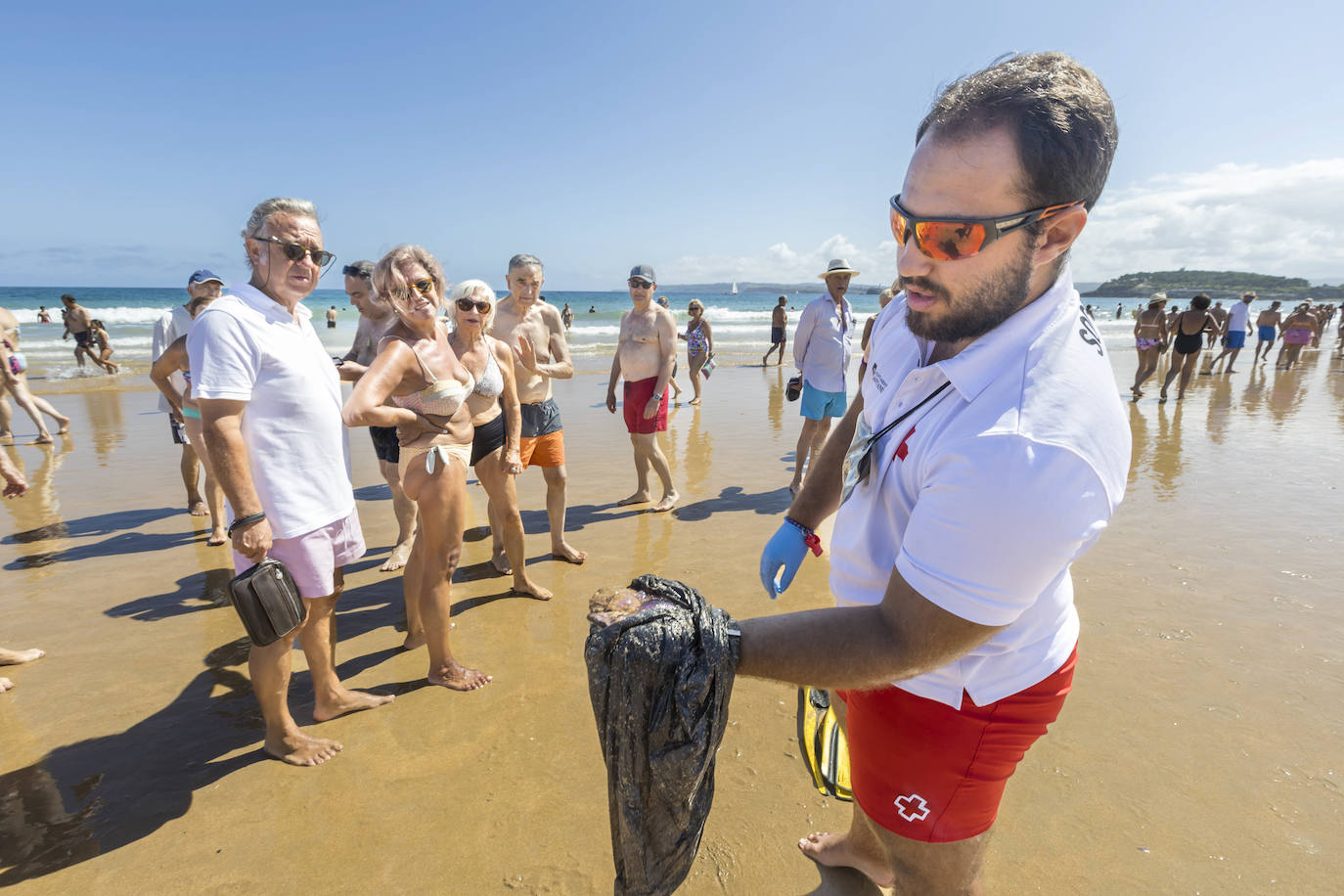 Un socorrista muestra una medusa retirada del mar