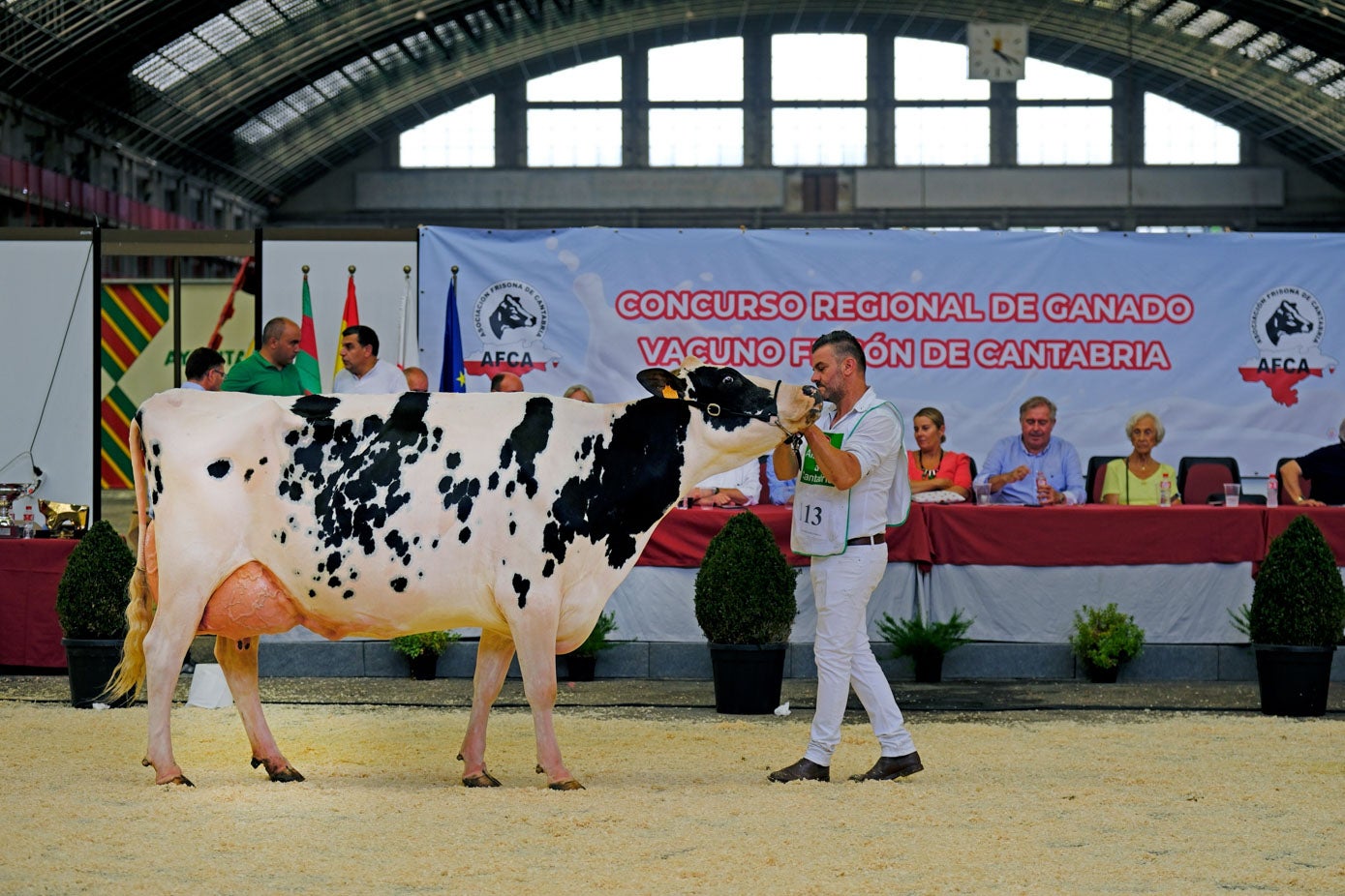 Somoboo Elvira Elude, gran campeona del certamen.