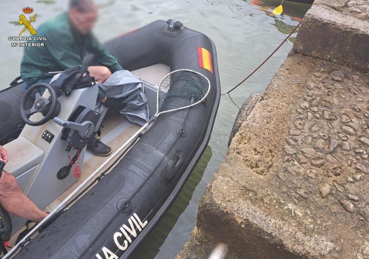 Imagen principal - Arriba, la 'gomona' de la patrullera Río Guadalhorce de Cantabria llega al puerto. Abajo, dos imágenes del buitre leonado que fue salvado.