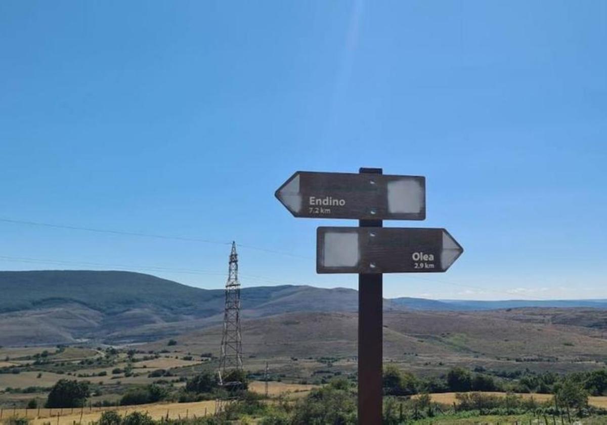 Dos señales con la información tapada con spray blanco en un sendero.