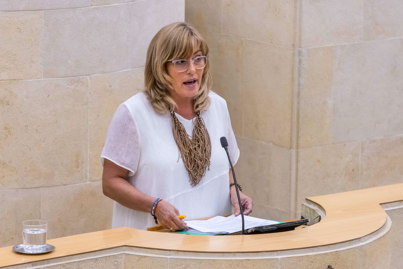 Rosa Díaz, diputada el PRC, se dirige al hemicilo desde la tribuna.