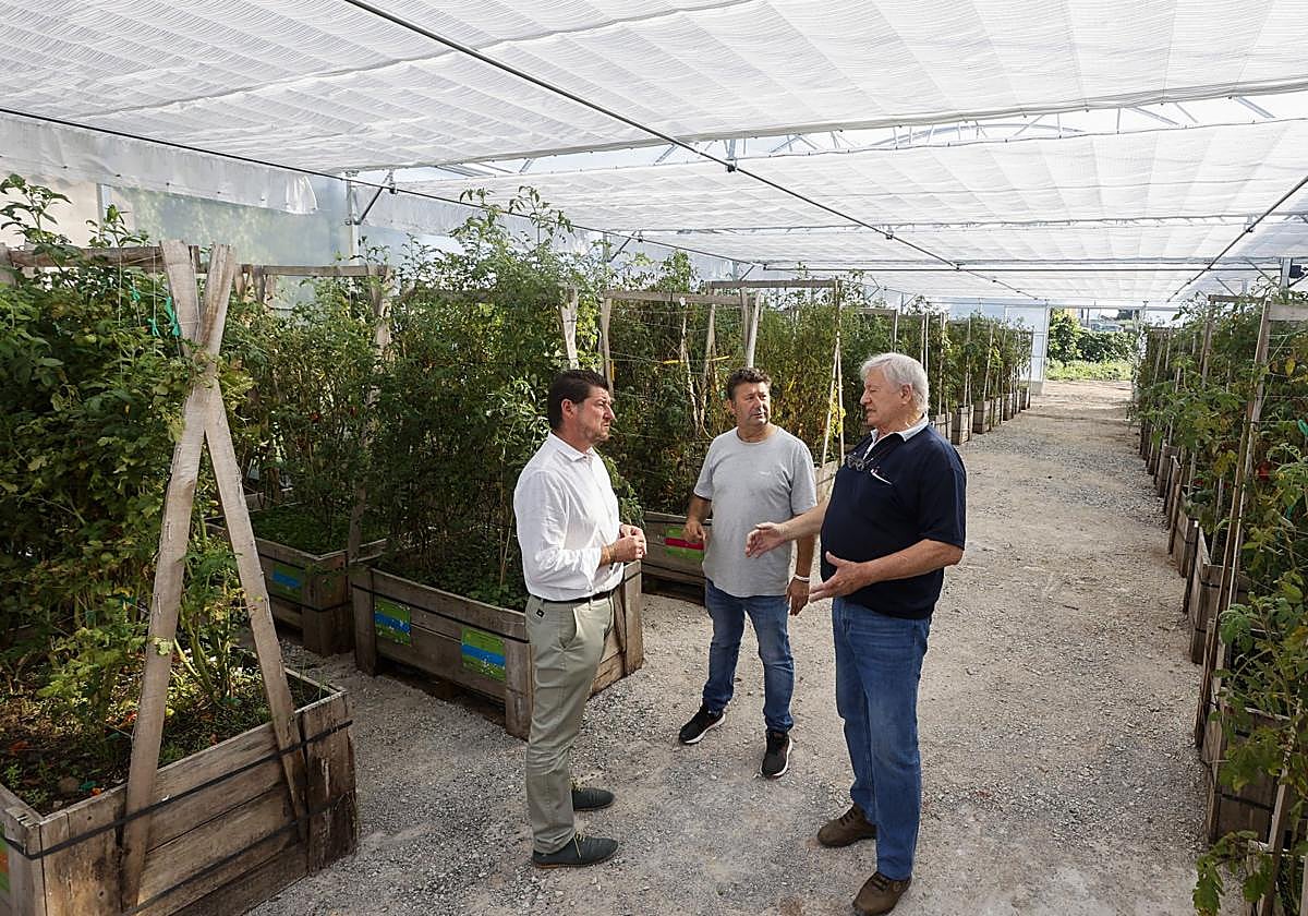 Jesús Sánchez, Javier Castaños y Guy Ferrier, ayer, en el invernadero de Campuzano.
