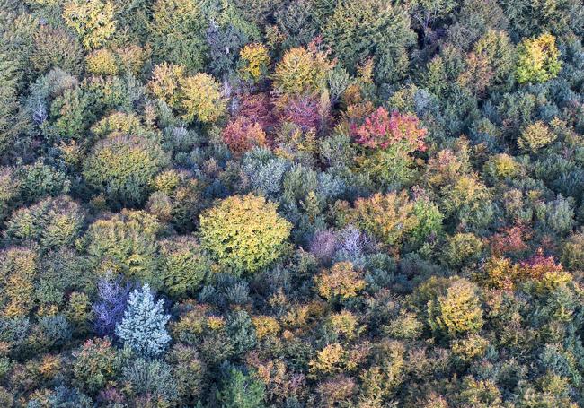 La foto del Monte Corona fue tomada con un dron.