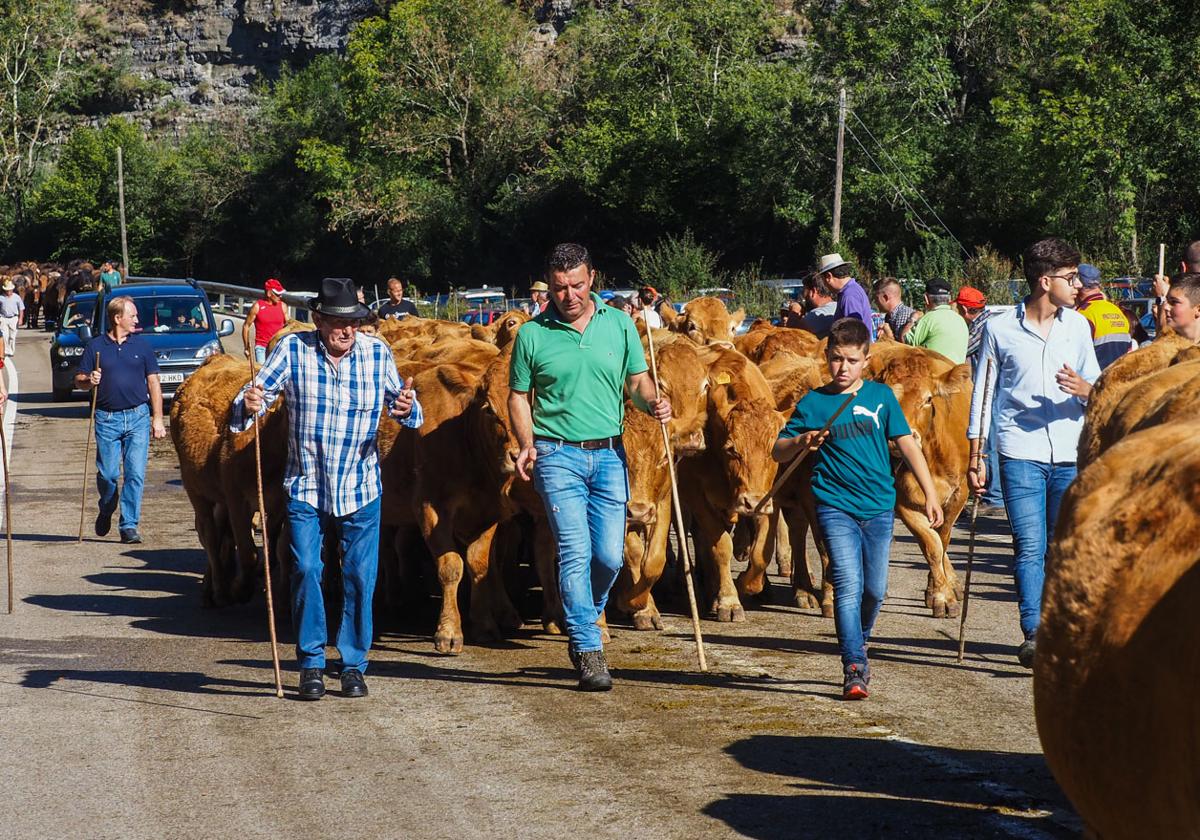 La Feria de San Miguel volvió a unir a todo el Valle del Nansa