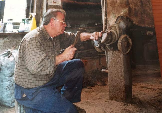 Cobo coloca los callos a una vaca en una imagen tomada hace varios años.