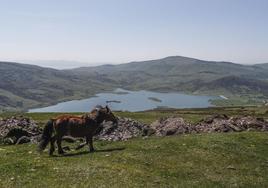 Montes de Sierra de El Escudo.