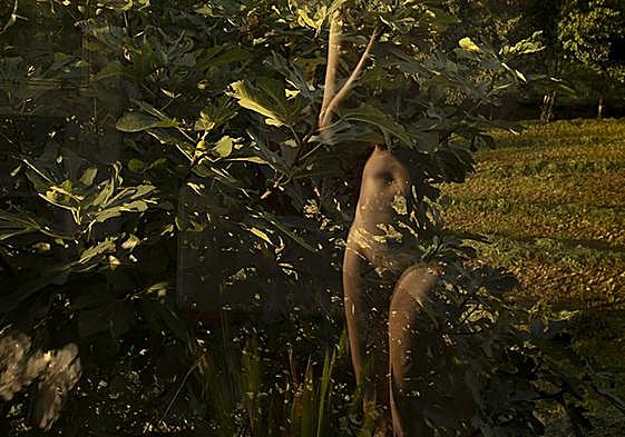 'Hiedra', 2023, imagen de Pilar Otí para la serie de La Caverna de .