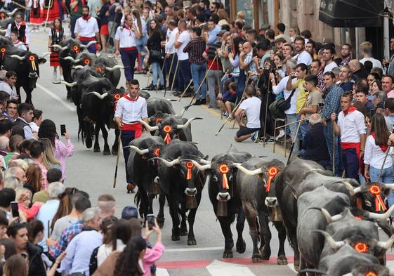 Olimpiada del Tudanco celebrada el año pasado en Cabezón.