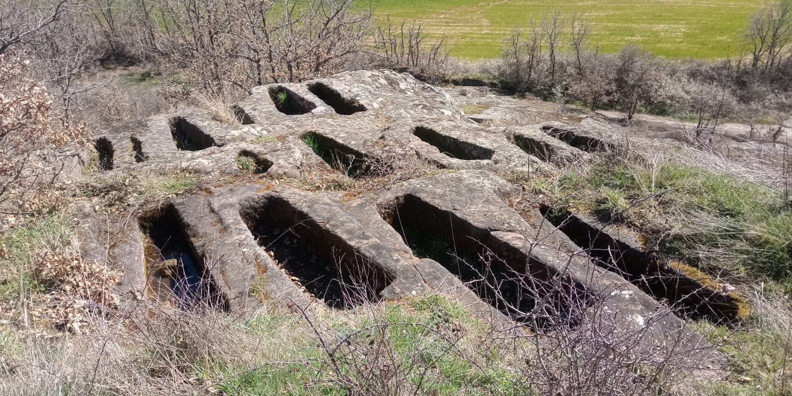 Necrópolis de Peñota en Susilla