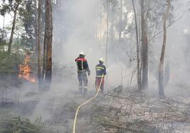 Parte de los puestos son de bombero forestal