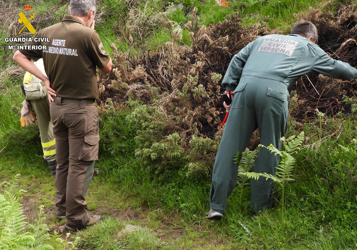 Una pareja de 24 y 30 años, detenida por once incendios provocados en Cantabria