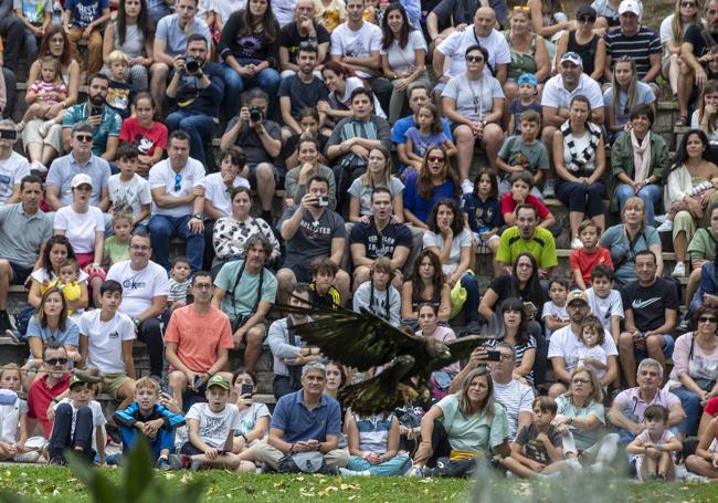 Cientos de personas siguen con interés la exhibición de vuelo de los animales.