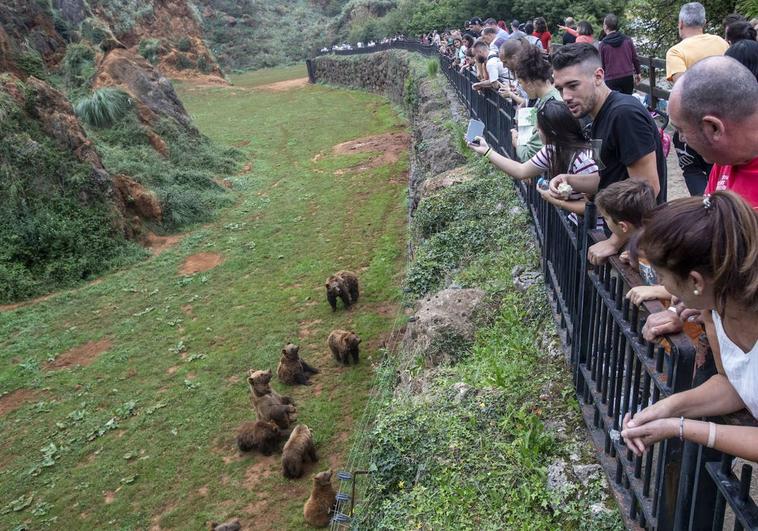 Cientos de personas para ver el recinto de los osos. Los huecos en la barandilla estaban cotizados.