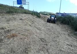 Tareas de mejora del terreno en la zona de El Alisal.