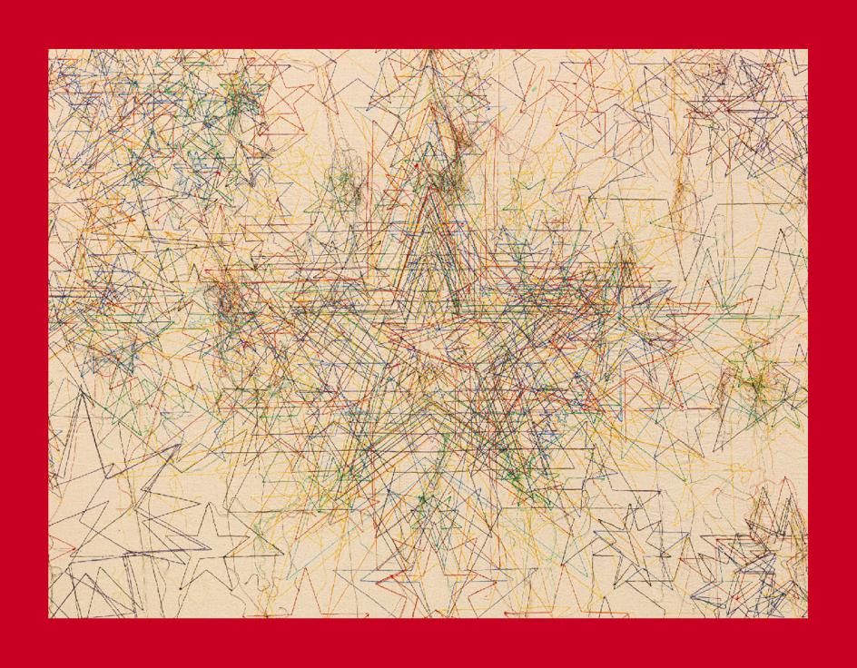 Shilpa Gupta, 'Stars on Flags of the World', 2012, (detalle). Bordado en tela, 209x148x15 cm.