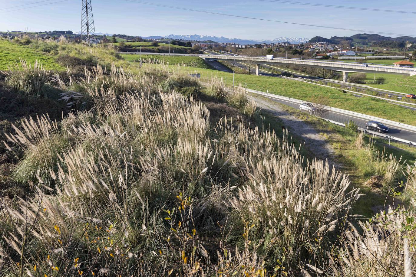 Arroyo Otero. Restauración del suelo y la vegetación y eliminación de plumero. Esta actuación comenzará próximamente: la previsión es que dure desde este invierno al de 2024