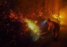 Un operario forestal trata de apagar un fuego en La Penilla de Cayón.