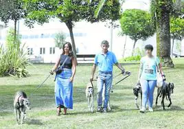 Directivos y voluntarios de la Asociación Galgos y Podencos, en una tarde de paseo con sus mascotas en acogida.