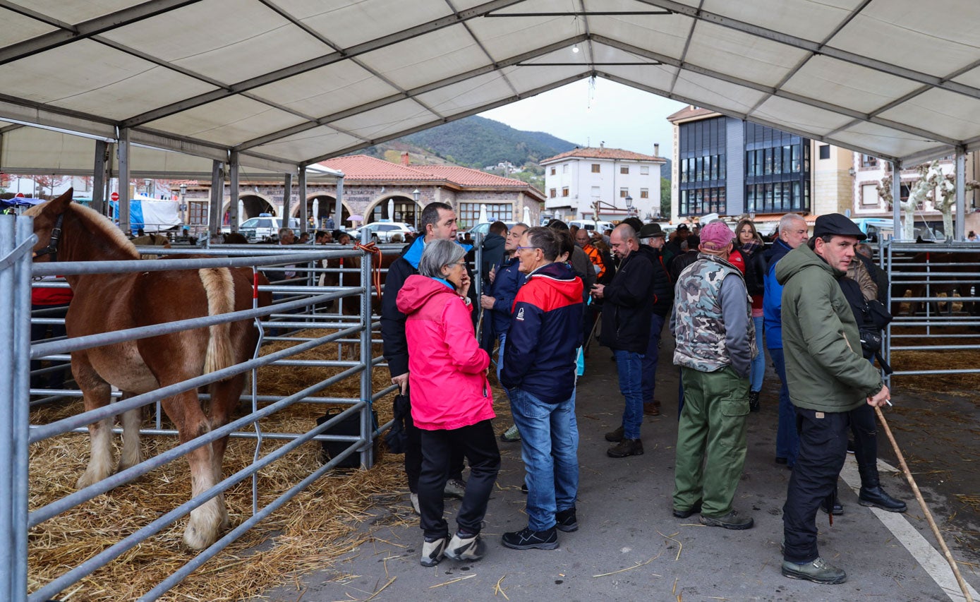 El público pasea por el recinto ferial.