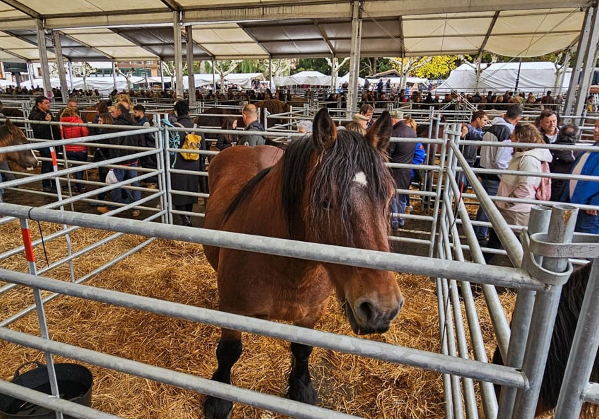 Potes y su Feria de Los Santos