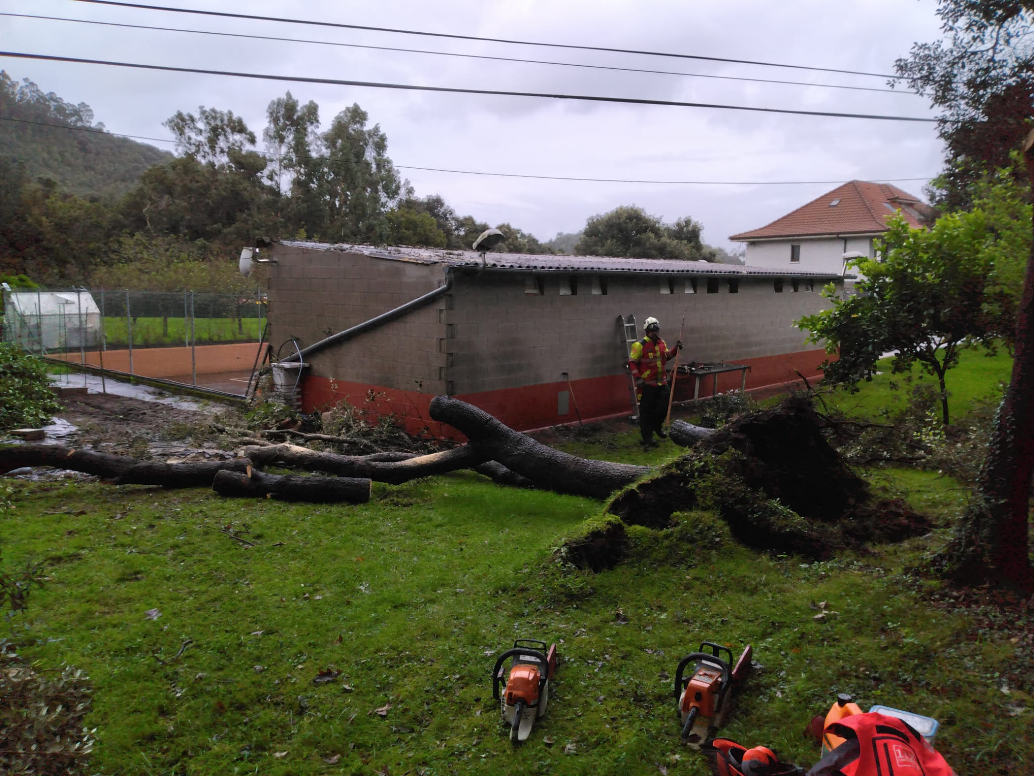 Los bomberos del 112 han cortado el arbol caído en Arnuero.