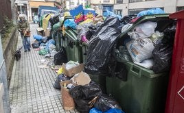 Las bolsas de basura y desperdicios ya no caben en los contenedores e invaden parte de las aceras generando un problema de salubridad y malos olores.