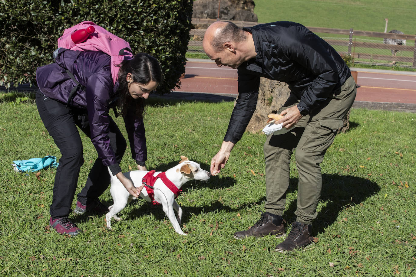 Eli, educadora de perros, ayuda a Pablo con Pipper durante el rodaje.