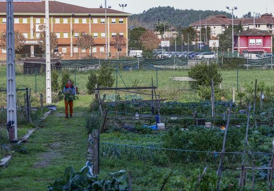 Los huertos urbanos de Mies de Vega, casi en desuso en esta época del año, son 45 y se inauguraron en 2017.