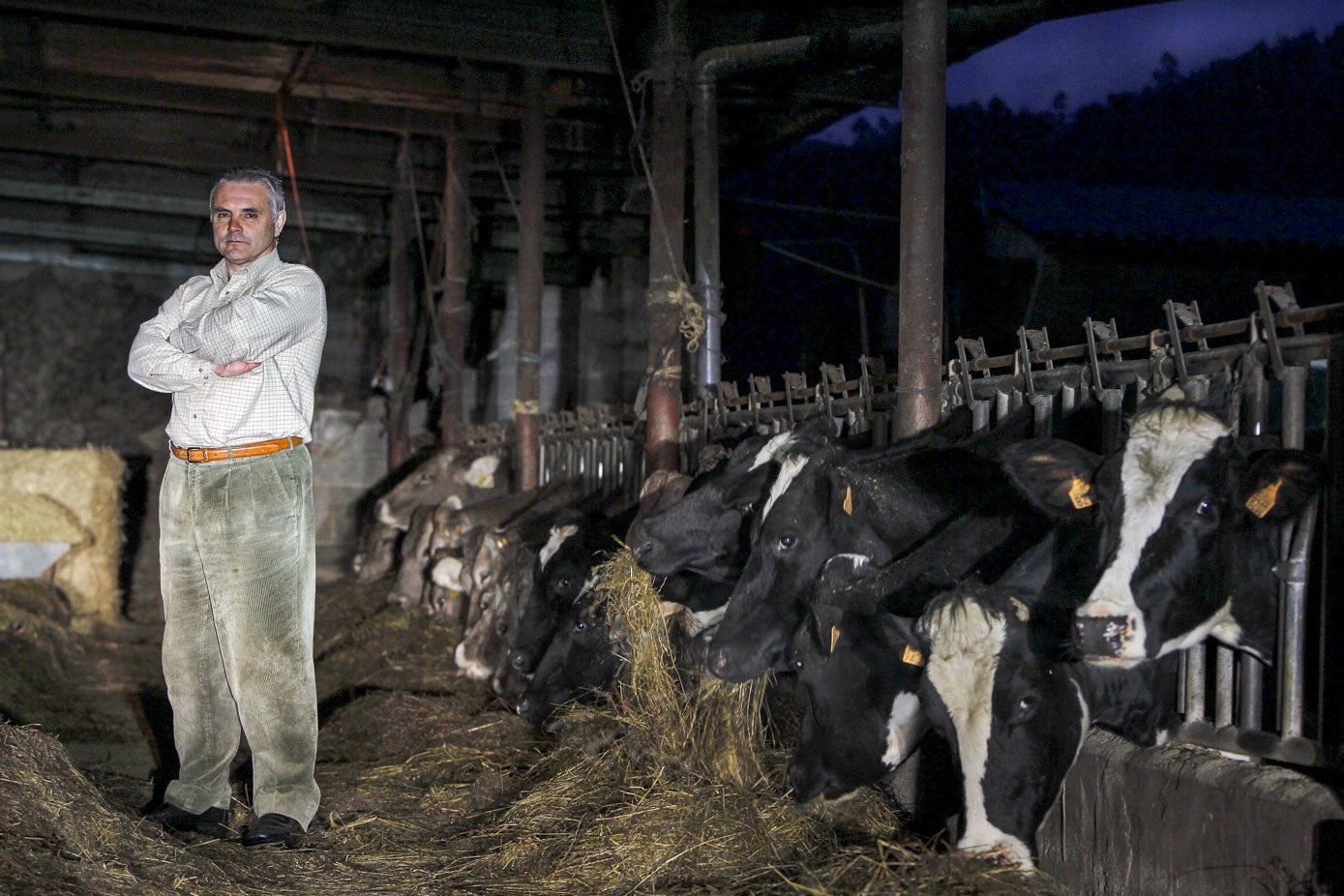 Gaspar Anabitarte posa tras una entrevista junto a sus vacas.