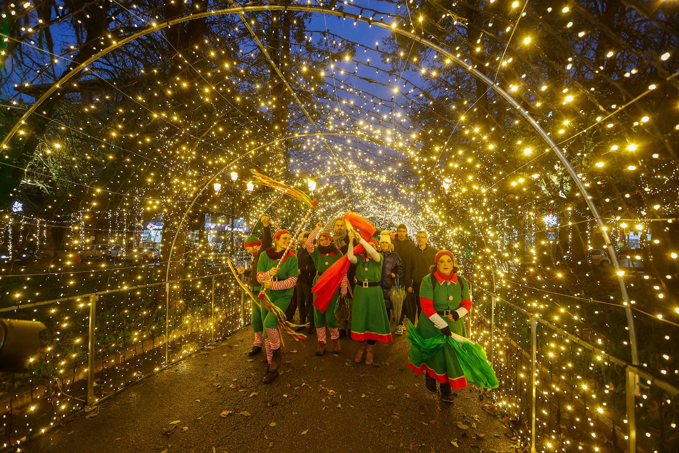 Un túnel de luces de la bienvenida al pulmón verde de la ciudad.