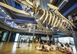 El Museo Marítimo del Cantábrico es la clara referencia en cuanto a visitas se refiere, con 57.620 personas en el verano de 2023.