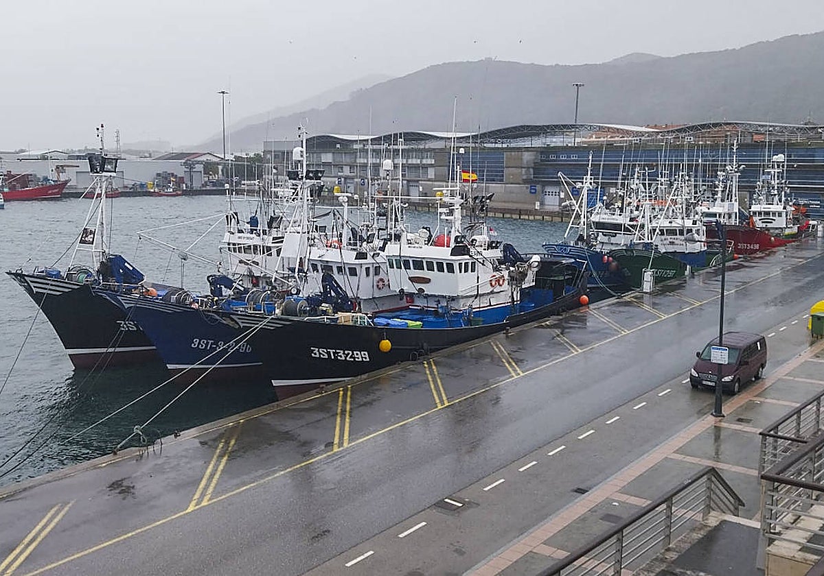 El puerto de Santoña estrenará este viernes iluminación navideña.