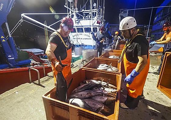 El cupo que más crece de cara a 2024 es el del bonito.