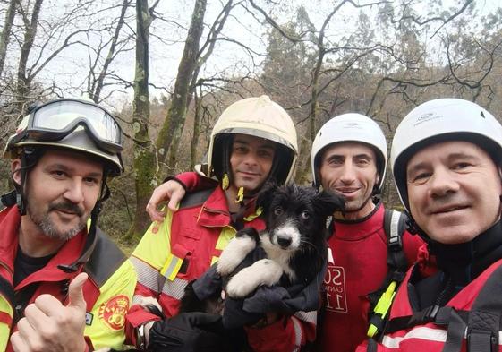 Bomberos del 112 rescatan a un cachorro atrapado en la corriente en el río Miera