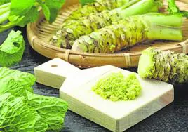 El wasabi y sus parientes botánicos contienen una sustancia llamada isotiocianato que es la que desencadena en la boca la sensación dolorosa de este picante.