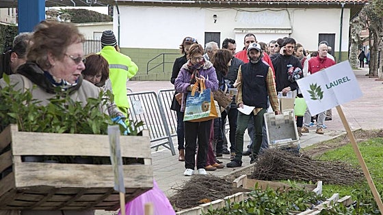 Camargo integrará su campaña de repoblación en una estrategia contra el cambio climático