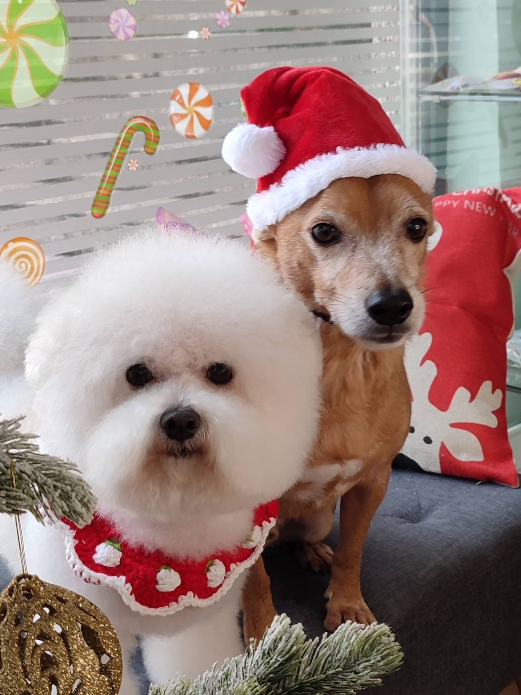 Keka y Gordo, inseparables hermanos, compartiran juegos y regalos bajo las luces brillantes del árbol de Navidad.