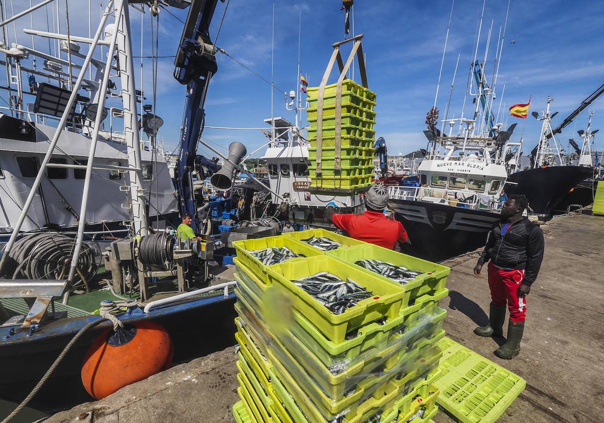 El puerto de Santoña subasta 15 millones de kilos de pescado en un año «récord»