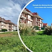 Zona urbana de Noja donde se ha retirado el plumero.